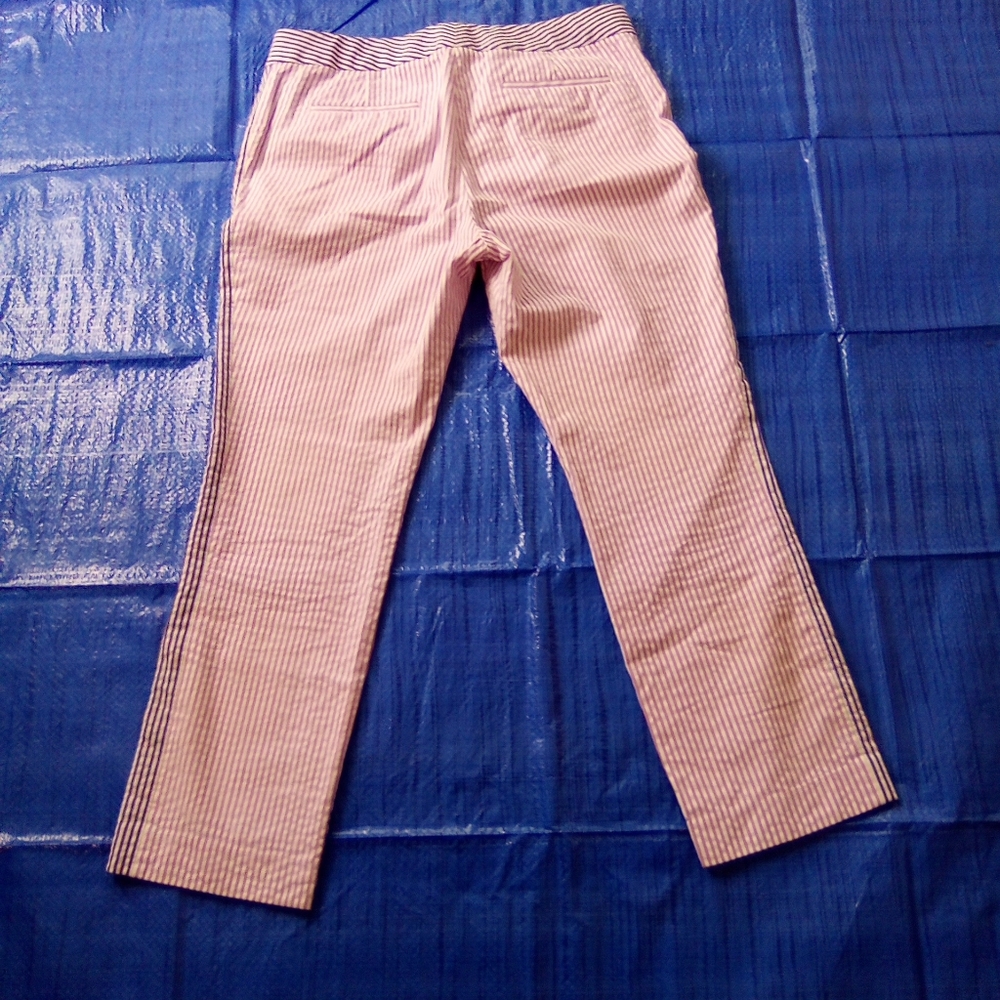 J. CREW Purple With Blue Women's Pants SIZE 6 - Picture 6 of 9